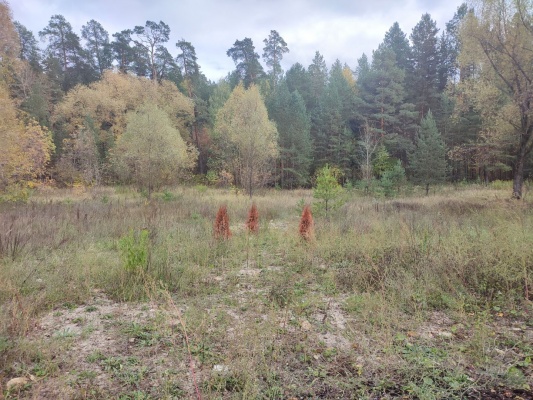 Нарушения - 3.jpg Нарушения - 3.jpg